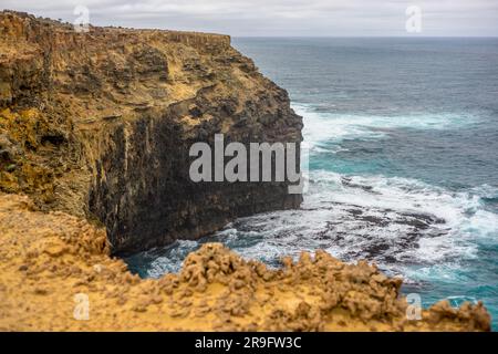 Versteinerter Wald in der Nähe von Portland, Australien Stockfoto