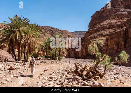 Wandern Sie durch die wunderschöne Landschaft des Draa-Tals in der Nähe des Dorfes Tizgui, Marokko Stockfoto