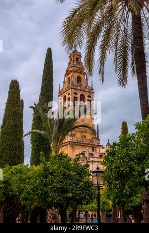 Cordoba, Spanien - 25. Februar 2022: Außenansicht und dekorative Details der herrlichen Moschee von Cordoba. Heute ist die Mezquita-Kathedrale, Andalusien Stockfoto