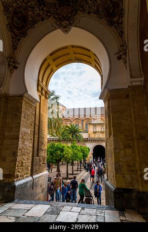 Cordoba, Spanien - 25. Februar 2022: Außenansicht und dekorative Details der herrlichen Moschee von Cordoba. Heute ist die Mezquita-Kathedrale, Andalusien Stockfoto