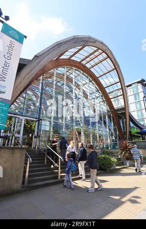 Sheffield Winter Gardens, ein großes, gemäßigtes Gewächshaus in Sheffield, South Yorkshire, ist ein beliebter Ort bei Einheimischen und Touristen in Großbritannien Stockfoto