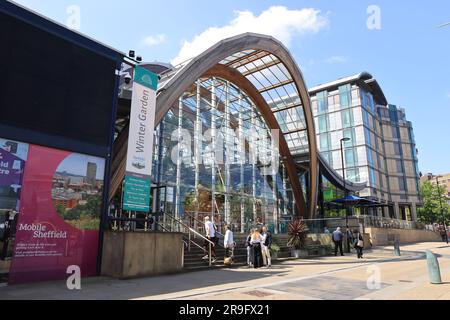 Sheffield Winter Gardens, ein großes, gemäßigtes Gewächshaus in Sheffield, South Yorkshire, ist ein beliebter Ort bei Einheimischen und Touristen in Großbritannien Stockfoto