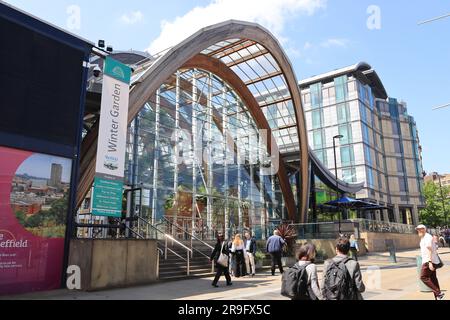 Sheffield Winter Gardens, ein großes, gemäßigtes Gewächshaus in Sheffield, South Yorkshire, ist ein beliebter Ort bei Einheimischen und Touristen in Großbritannien Stockfoto