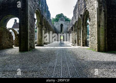 Die Ruinen der alten Zisterzienserabtei in Boyle, County Roscommon, Irland. Gegründet im 12. Jahrhundert, Stockfoto