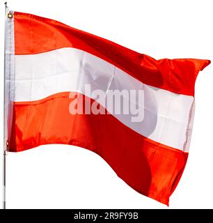 Die Flagge Österreichs winkt. Isoliert auf weißem Hintergrund Stockfoto