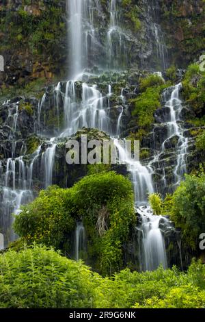 Ein Foto von den üppigen Wasserfällen in Thousand Springs in der Nähe von Hagerman, Idaho. Stockfoto