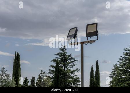 Moderne energiesparende Gartenlampen mit LED-Glühbirnen inmitten von Bäumen verschiedener Familien Stockfoto