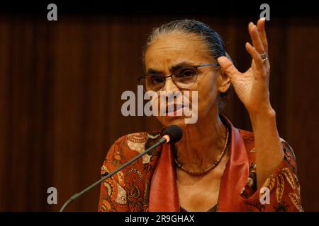 Portrait von Marina Silva, der brasilianischen Ministerin für Umwelt und Klimawandel Stockfoto