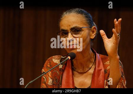 Portrait von Marina Silva, der brasilianischen Ministerin für Umwelt und Klimawandel Stockfoto