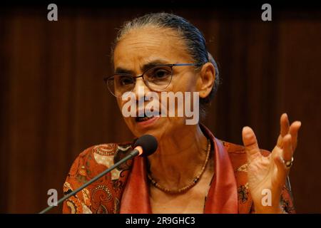 Portrait von Marina Silva, der brasilianischen Ministerin für Umwelt und Klimawandel Stockfoto