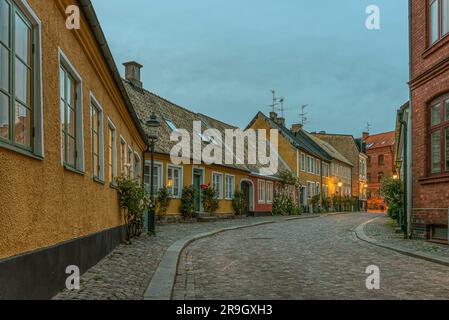 Alte kopfsteingepflasterte Gasse mit roten Rosen im sanften Abendlicht, Lund, Schweden, Jyly 17, 2022 Stockfoto