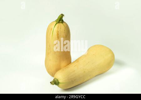 Butternusskürbis isoliert auf weißem Hintergrund mit Beschneidungspfad. Studioaufnahme. Stockfoto