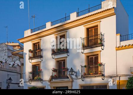 Balkone, die bei Sonnenuntergang in Cordoba, Spanien, glühen Stockfoto