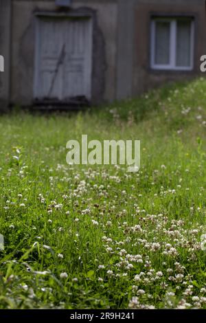 Verlassenes Landhaus, Garten mit Gras überwuchert. Ein altes Haus ohne Besitzer. Stockfoto