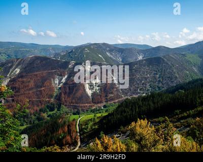 Allande, Spanien. 25. Mai 2023. Ein Blick auf verkohlte Bäume, die noch immer von der Welle der Waldbrände in Spaniens Asturien zu sehen sind. Letzten April verbrennt eine neue Welle von Waldbränden Spaniens Asturien. Mehr als einen Monat später wandern Pilger entlang des Puerto del Palo, das eine Klettertour in der Region Asturien ist und auch Teil des Camino Primitivo ist, einer der Caminos de Santiago kann immer noch die sichtbaren Schäden an Bäumen und Feldern beobachten. Man geht auch davon aus, dass diese Brände das Ergebnis bewusster Aktionen sind. (Foto: Ana Fernandez/SOPA Images/Sipa USA) Guthaben: SIPA USA/Alamy Live News Stockfoto