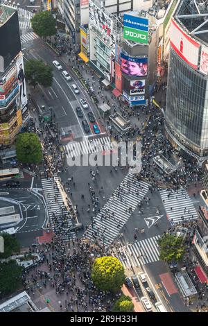 Tokio, Japan - Mai 04 2023: Luftaufnahme der Menschen bei einem Spaziergang durch die berühmte Shibuya-Kreuzung in Tokio, japanische Hauptstadt Stockfoto