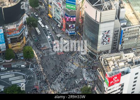 Tokio, Japan - Mai 04 2023: Luftaufnahme der Menschen bei einem Spaziergang durch die berühmte Shibuya-Kreuzung in Tokio, japanische Hauptstadt Stockfoto