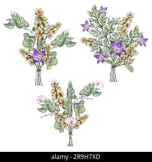 Set aus drei Sommerstraußen mit Wildblumen. Mullein, Bindekraut, Blüten, Klee, Kamille, Korostavnik, Maisblume. Aquarelle Abbildungen Stockfoto