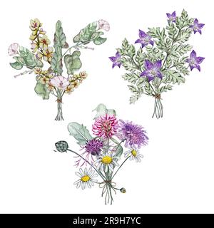 Set aus drei Sommerstraußen mit Wildblumen. Mullein, Bindekraut, Blüten, Klee, Kamille, Korostavnik, Maisblume. Aquarelle Abbildungen Stockfoto
