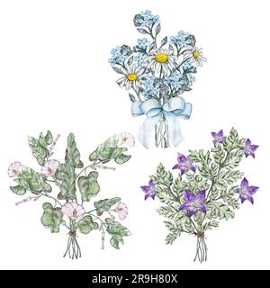 Drei Sommersträuße mit wilden Blumen. Bindweed, Blaue Blume, vergessen Sie mich nicht, Kamille. Aquarelle Abbildungen Stockfoto