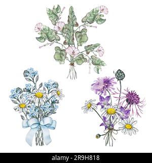 Set aus drei Sommerstraußen mit Wildblumen. Mullein, Binderweed, Blume, vergiss mich nicht, Kamille, Korostavnik, Maisblume. Aquarell Stockfoto