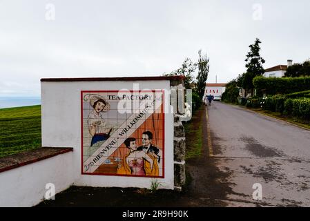 Ponta Delgada, Portugal - 5. Juli 20223: Gorreana Tea Factory. Es ist die älteste Teeplantage in Europa. Sao Miguel Island, Azoren Stockfoto