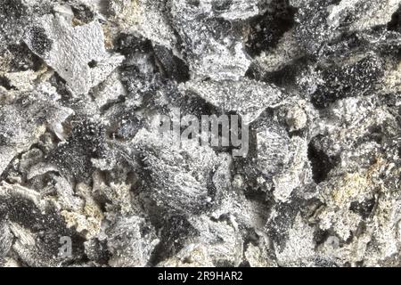 Makroaufnahme von einem Haufen Tabakasche. Stapeln des Makrofokus Stockfoto