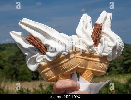 Im Sommer gibt es im Ashdown Forest zwei verspielte 99-Eiscremes Stockfoto