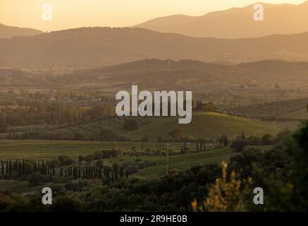 Ackerland und Olivenhaine um Montemassi in der Provinz Grosseto. Italien Stockfoto