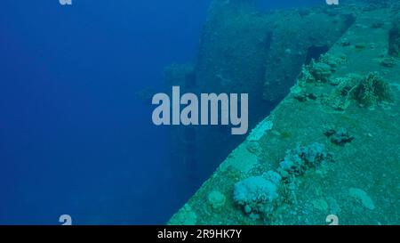 Gehen Sie mit Korallen überwuchert auf dem Schiffswrack der Fähre Salem Express auf blauem Wasser Hintergrund, rotes Meer, Safaga, Ägypten Stockfoto