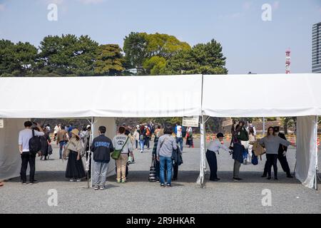 Tokio Japan, geschlossen während Covid 19 Besucher Schlange an der Sicherheitskontrolle der Polizei, um das Imperial Palace Hotel Inui dori zu betreten und Kirschblüten in Asien zu sehen Stockfoto