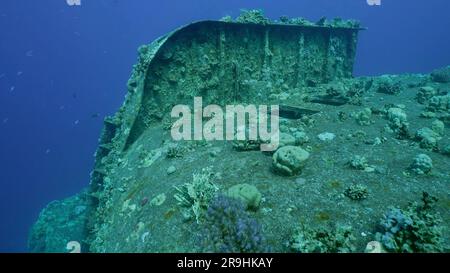 An Bord und Kabine sind Korallen auf dem Schiffswrack der Fähre Salem Express auf blauem Wasser Hintergrund, rotes Meer, Safaga, Ägypten überwuchert Stockfoto