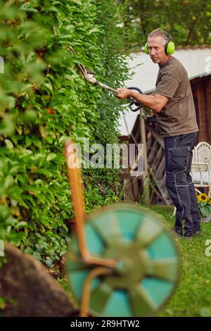 Gärtner, der eine Hecke mit einer Heckenschere im Garten eines Kunden mit Ohrenschützern zum Schutz trimmt Stockfoto