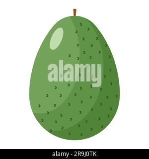 Avocado-Cartoon-Stil mit organischen Früchten, isoliert auf weißem Hintergrund, Vektordarstellung eps 10 Stock Vektor