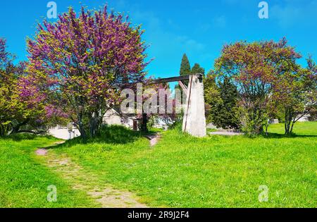 Der hellgrüne Rasen und die blühenden Judas-Bäume im Park d'Amour, Saint-Remy-de-Provence, Frankreich Stockfoto