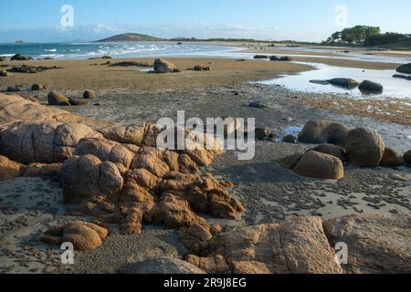 Abendlicht am verlassenen Strand in Rose Bay, Bowen, Queensland, Australien Stockfoto