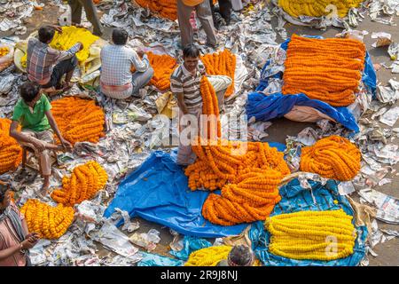 Marigold Garland Traders am Mullick Ghat Flower Market, Kalkutta, Indien Stockfoto