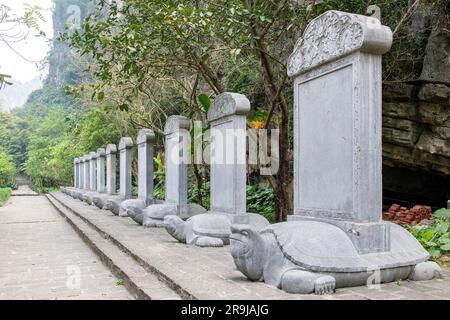 Ninh Binh, Vietnam - März 2023; Flachblick auf eine Linie von Steinschildkröten in der Nähe des Palastes Vu Lam im Delta des Roten Flusses, umgeben von bewaldetem Kalkstein Stockfoto