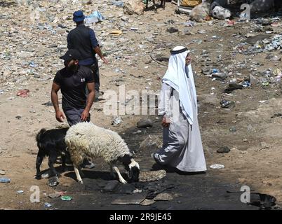 Bethlehem, Westjordanland. 27. Juni 2023. Die Palästinenser kaufen Schafe und Ziegen, um sie für den muslimischen Feiertag von Eid al-Adha, dem Opferfest, in Bethlehem, Westjordanland, am Dienstag, den 27. Juni, zu opfern. 2023. Das viertägige Fest von Eid al-Adha ist der größte Feiertag des Islam und ehrt Ibrahims Bereitschaft, seinen Sohn Ishmael im Gehorsam gegenüber Gott zu opfern. Eid al-Adha beginnt morgen bis Samstag. Foto von Debbie Hill/ Kredit: UPI/Alamy Live News Stockfoto