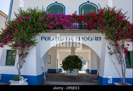 Precioso Rincón en el Puerto de Mogán con sus casas blancas con los marcos de puertas y ventanas pintados de vivos Colores. múltiples buganvillas y Ár Stockfoto