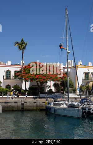 En el Puerto de Mogán hay un pequeño puerto deportivo donde se mezclan barcos de Pesca con yates y embarcaciones de Recreo. Gran Canaria, España Stockfoto