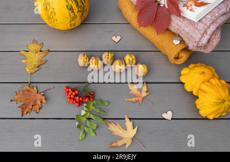Herbstgemütliches Gemälde aus hellen, trockenen, mehrfarbigen Blättern, Nüssen, Kürbissen, warmen Pullover und einem Buch auf einem grauen Tisch Stockfoto