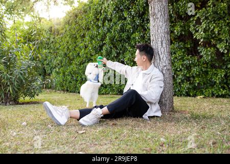 Ein asiatischer Mann mit seitlichem Blick sitzt auf grünem Gras am Baum und schlägt dem süßen weißen, flauschigen Spitz Spielzeug vor, während er sich ansieht Stockfoto