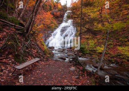 Beulach Ban Falls, Cape Breton - Hochwasserfall in einer herbstlichen Waldlandschaft mit dichten Bäumen, Cape Breton. Wasserfälle im Herbst. Nova Scotia, Kanada Stockfoto