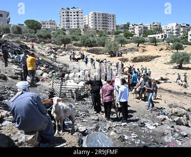 Bethlehem, Westjordanland. 27. Juni 2023. Die Palästinenser kaufen Schafe und Ziegen, um sie für den muslimischen Feiertag von Eid al-Adha, dem Opferfest, in Bethlehem, Westjordanland, am Dienstag, den 27. Juni, zu opfern. 2023. Das viertägige Fest von Eid al-Adha ist der größte Feiertag des Islam und ehrt Ibrahims Bereitschaft, seinen Sohn Ishmael im Gehorsam gegenüber Gott zu opfern. Eid al-Adha beginnt morgen bis Samstag. Foto von Debbie Hill/ Kredit: UPI/Alamy Live News Stockfoto