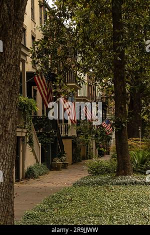 Straße in Savannah in Georgia Stockfoto