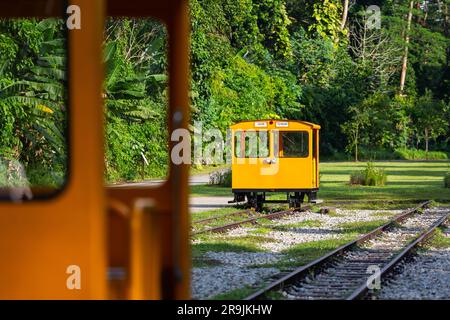 Leuchtend gelbe Servicewagen auf den Bahngleisen vor grünem Hintergrund im Gemeinschaftsbereich des Bahnhofs Bukit Timah. Singapur. Stockfoto