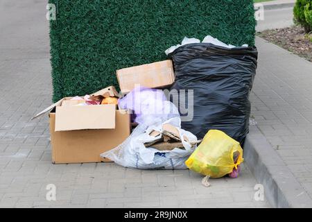 Die Müllcontainer sind voll mit Müll im Park. Müllabfuhr, Müllabfuhr, Müllabfuhr. Plastiktüten mit Müll aus Abfall. Stockfoto