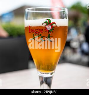 Laarne, Ostflämische Region, Belgien, 16. Juni 2023 - Glas bernsteinfarbenes Bier der Marke Brugse Zot Stockfoto