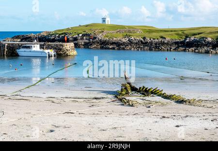 Kleine Boote, die im karinischen Hafen, auf der Insel Tiree, auf den inneren Hebriden, Schottland, Großbritannien, vor Anker liegen. Stockfoto